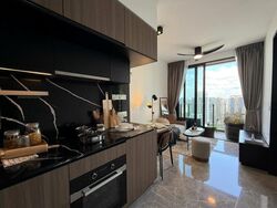 Irwell Hill Residences (D9), Apartment #467232071